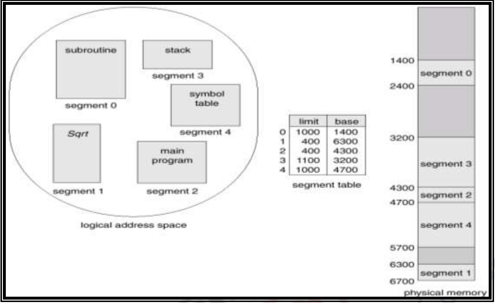 segmentation